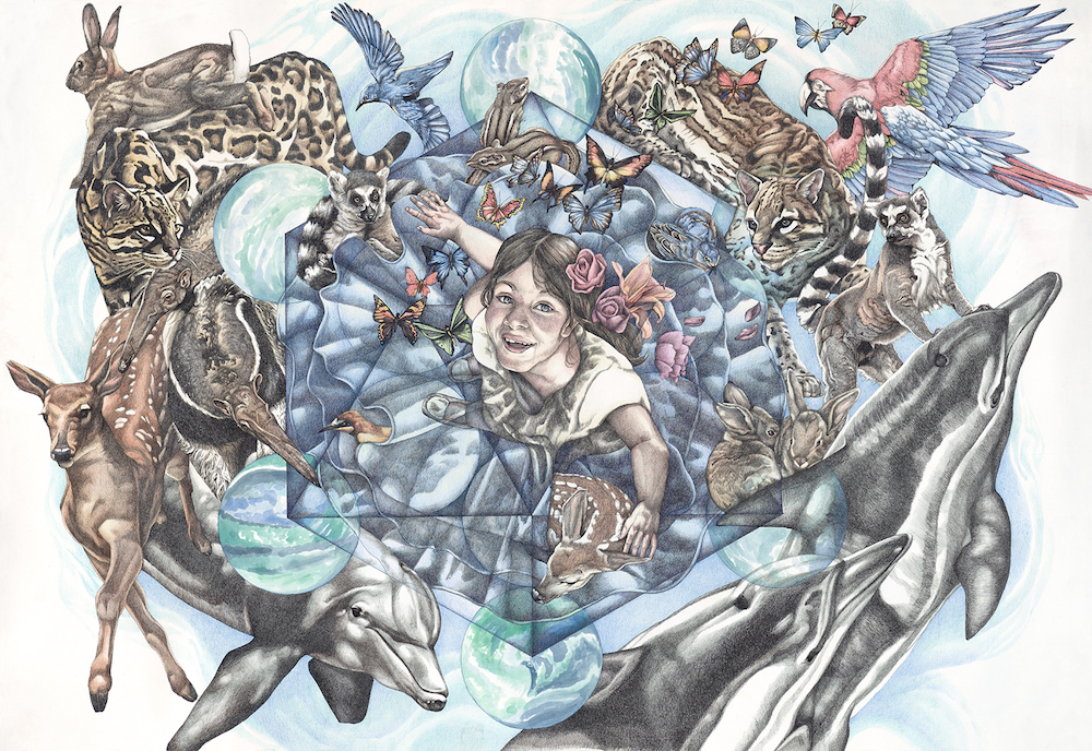 The Ecology of Wonder&nbsp;#1