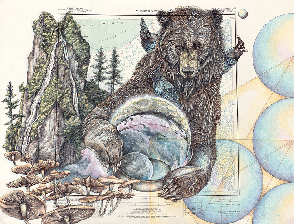 Medicine - Alaska Series