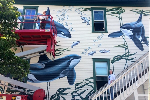 The Whale Museum&nbsp;Mural