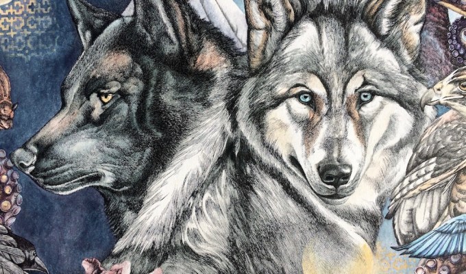 The Ecology of Wonder&nbsp;#2