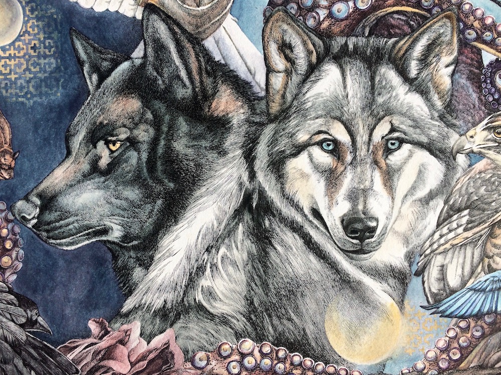 The Ecology of Wonder&nbsp;#2