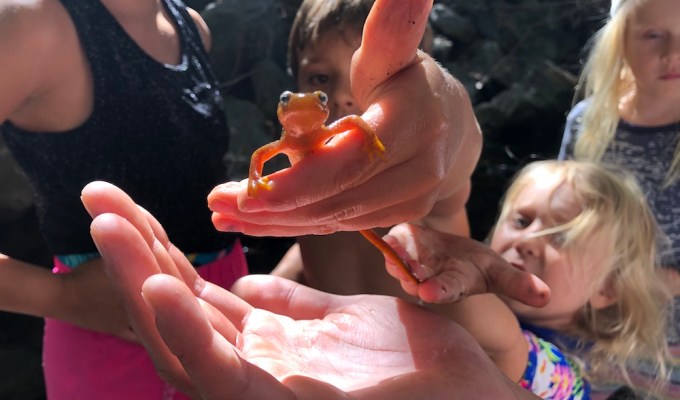 Education, Socialization, and This Big Big&nbsp;World