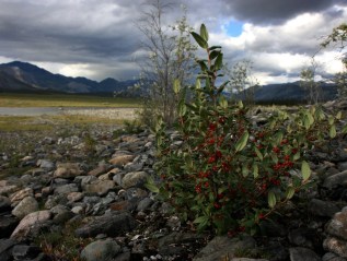 Comments for Bureau of Land Management – Call for Nominations and Comments for the Coastal Plain Alaska Oil and Gas Lease&nbsp;Sale