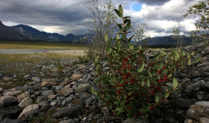 Comments for Bureau of Land Management – Call for Nominations and Comments for the Coastal Plain Alaska Oil and Gas Lease&nbsp;Sale